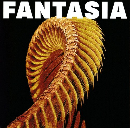 Slift fantasia mint - -, (cd)